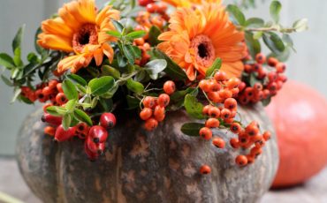 DECORATING A PUMPKIN FOR THE AUTUMNAL SEASON